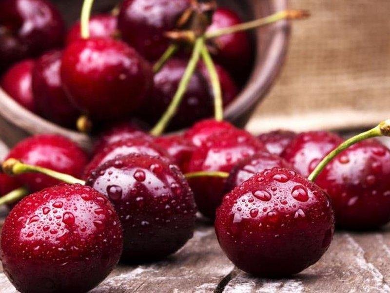 Вишня купить саженцы из питомника в Шуе